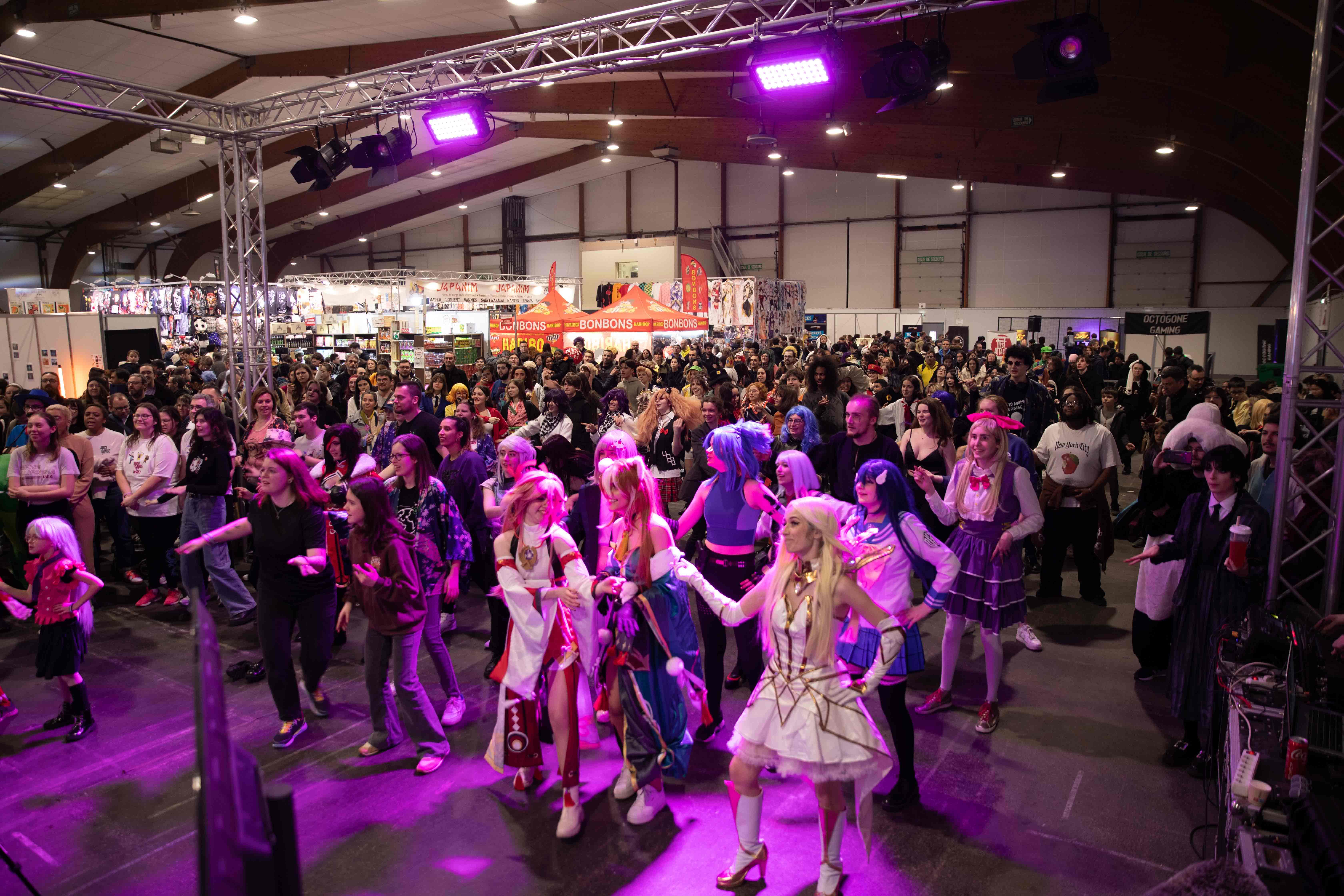 Geek Days : la pop culture investit Lille Grand Palais ce week-end - 13